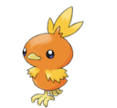 Torchic Icon